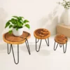 live edge wood plant stand