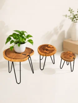 live edge wood plant stand