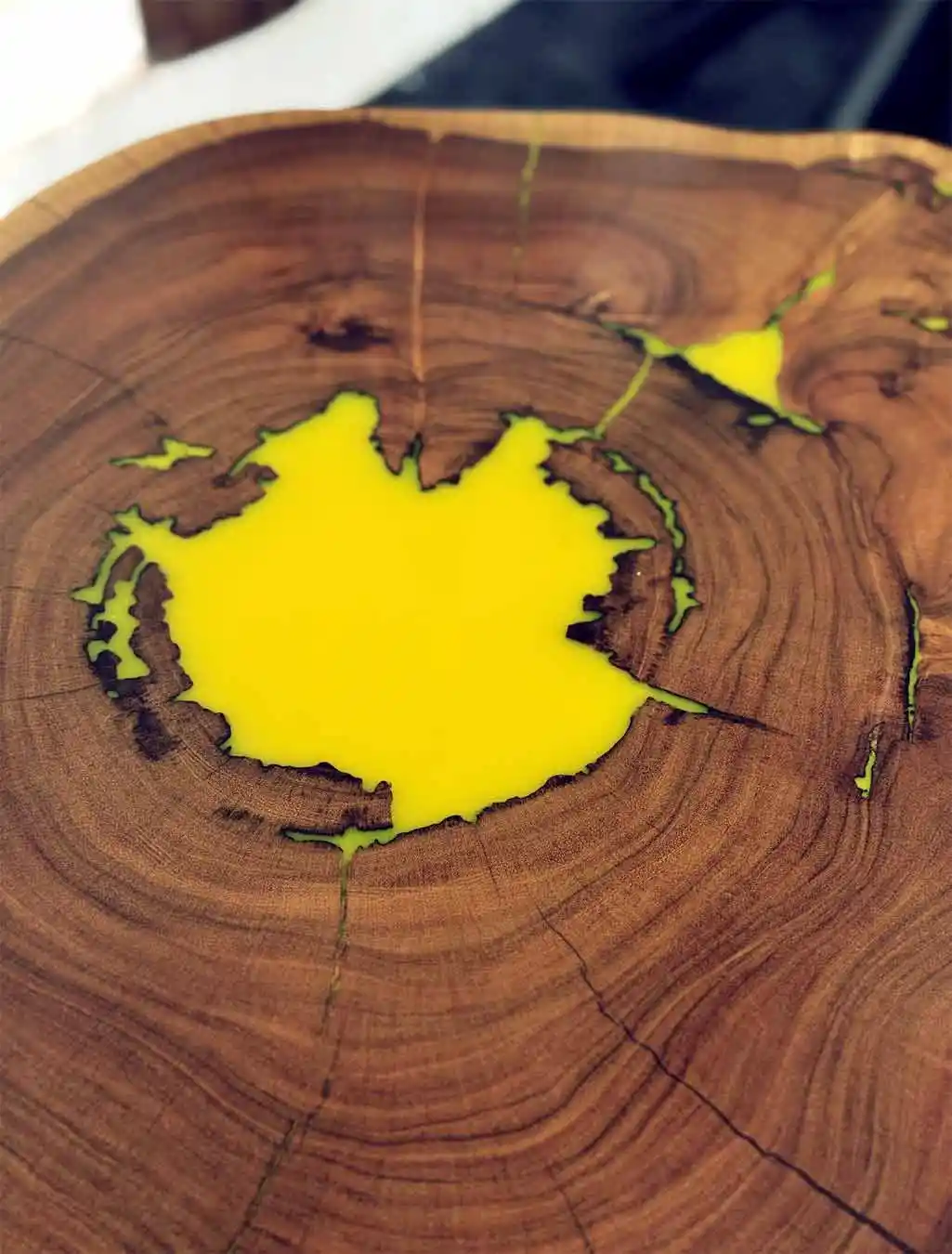 Artisan Live Edge Coffee Table Round Shape – Butterfly Design Legs - Image 2