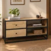 TV console with 2 drawers